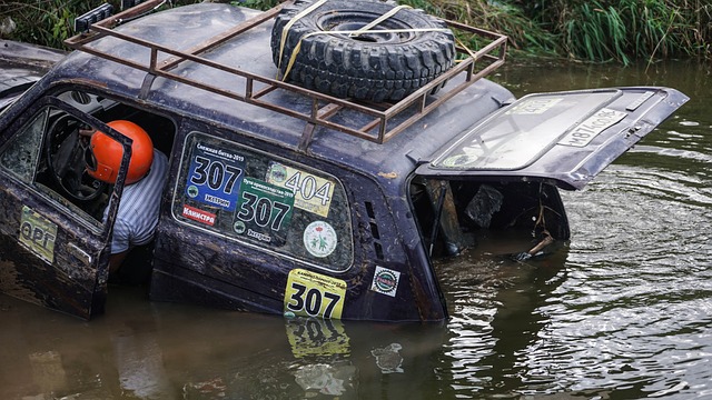 的团结与协 的团结与协