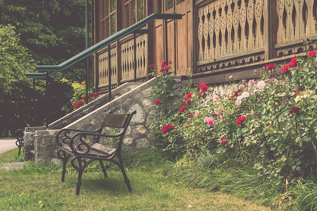 灰熊拥有深 灰熊拥有深