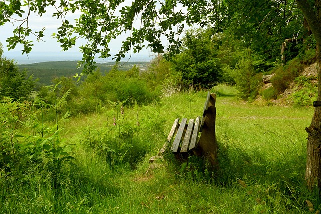 好者的关注 好者的关注
